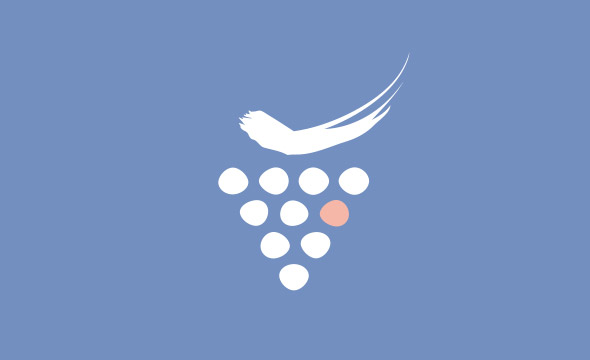 Identité visuelle La route des vins de Provence